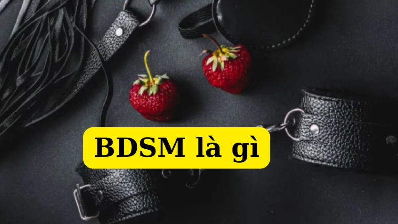 BDSM là gì? Tìm hiểu thế giới thống trị và phục tùng