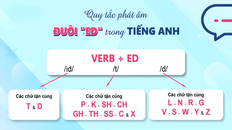 Cách phân biệt ed và s tránh nhầm lẫn trong cấu trúc câu