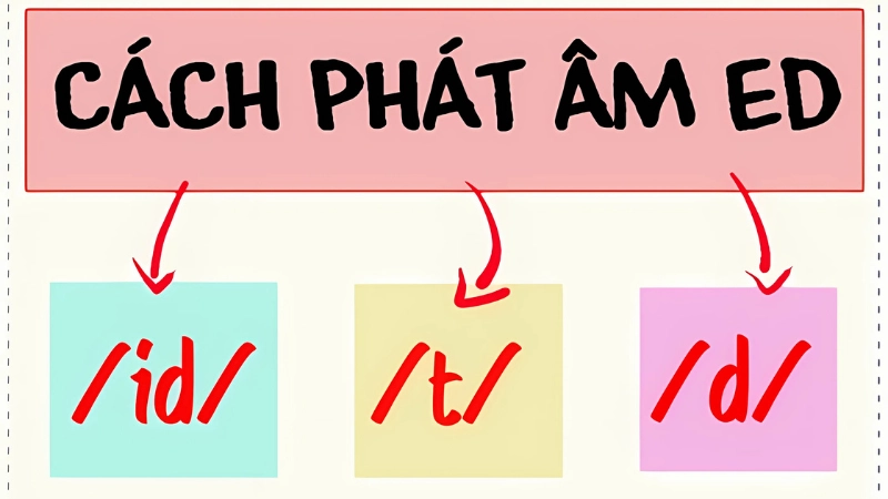 Hậu tố ed dùng trong những trường hợp nào?