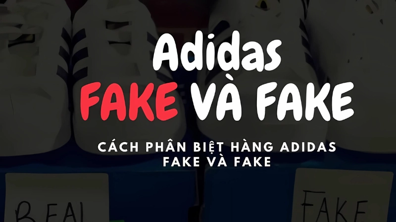 Cách phân biệt giày Adidas chính hãng chi tiết dễ hiểu Cách phân biệt giày Adidas chính hãng chi tiết dễ hiểu