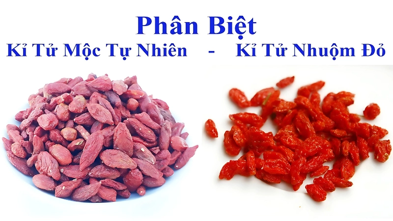 Bật mí bí quyết cách phân biệt kỷ tử thật giả chi tiết