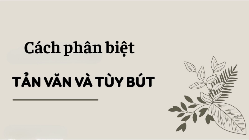 Cách phân biệt tùy bút và tản văn cho học sinh THPT