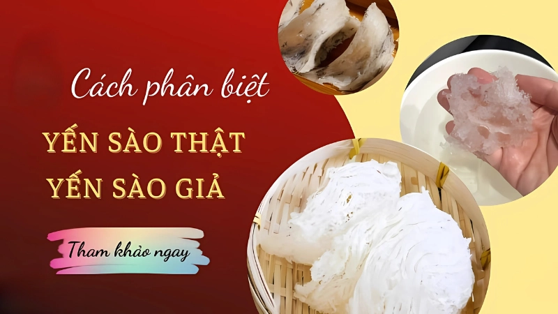Cách phân biệt yến sào thật và giả chính xác tại nhà Cách phân biệt yến sào thật và giả chính xác tại nhà