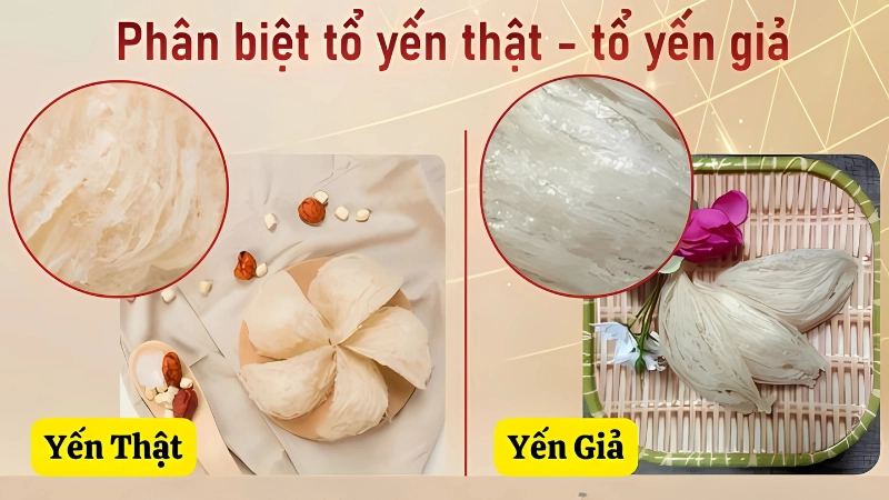 Lưu ý khi mua yến để tránh mua nhầm hàng giả