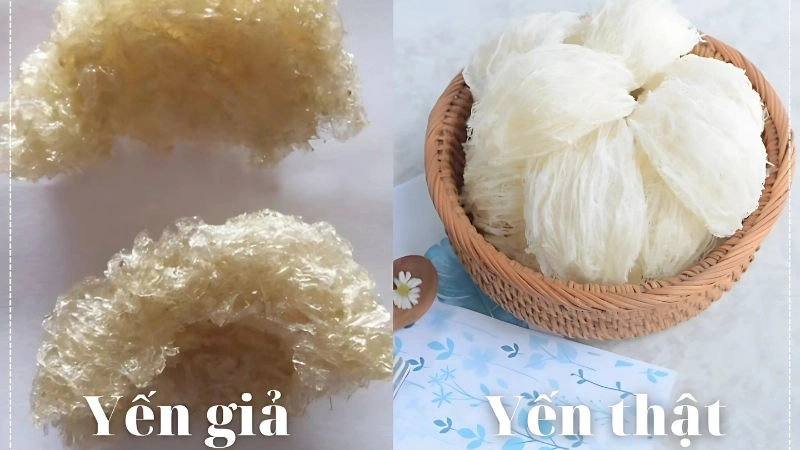 Phân biệt yến chưng thật và giả qua sợi yến, mùi vị và độ bền