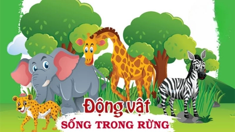 Câu đố về động vật sống trong rừng khám phá thiên nhiên
