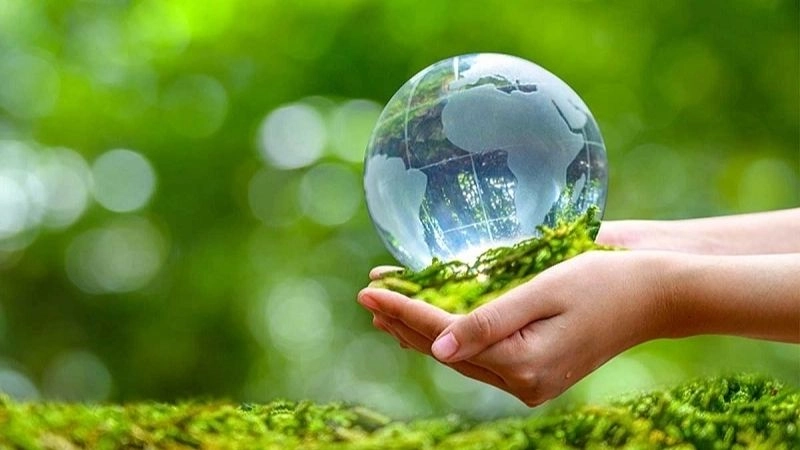 Đố vui bảo vệ môi trường nâng cao ý thức xanh