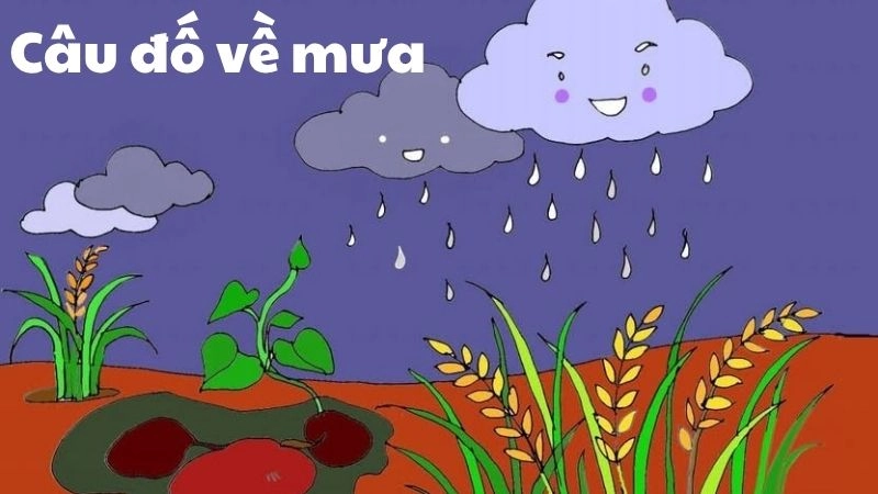 Câu đố về mưa đậm chất thơ gây sốt khắp mạng xã hội