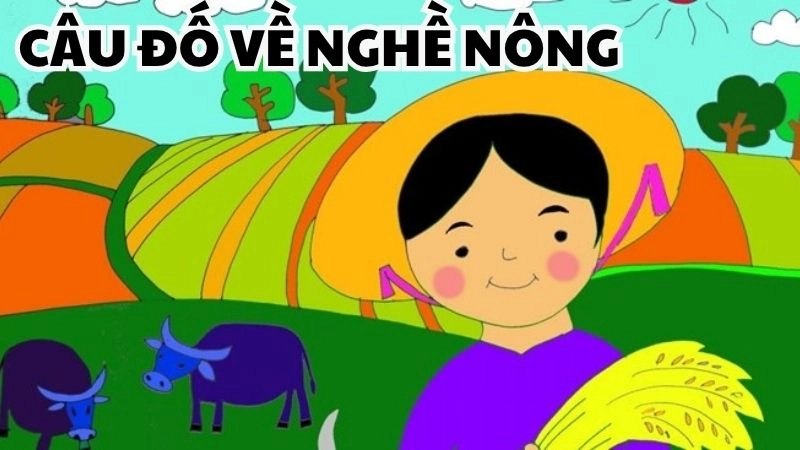 Những câu đố về nghề nông giản dị mà sâu sắc không ngờ