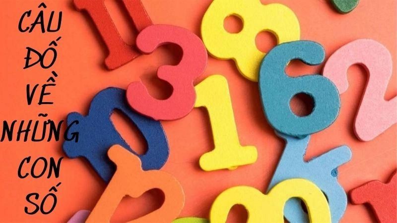 Khám phá thế giới câu đố về những con số kích thích tư duy