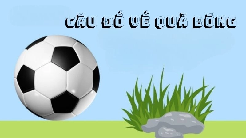 Tuyển tập câu đố về quả bóng vừa dí dỏm vừa hại não Tuyển tập câu đố về quả bóng vừa dí dỏm vừa hại não