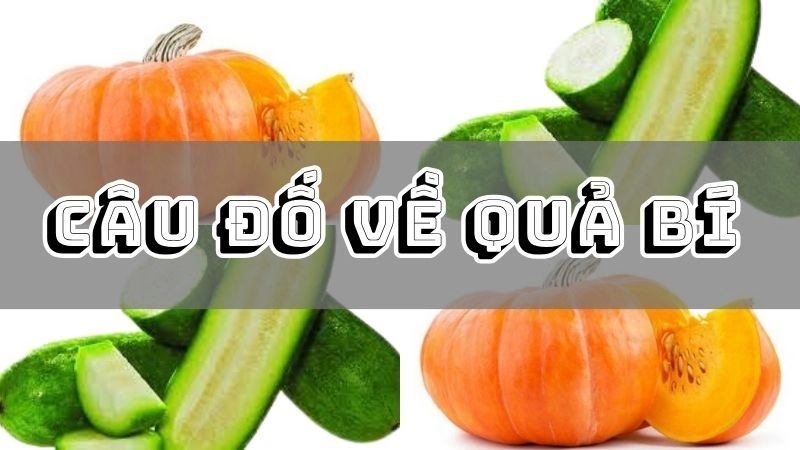 Tổng hợp câu đố về quả bí ngắn gọn nhưng cực kỳ dí dỏm