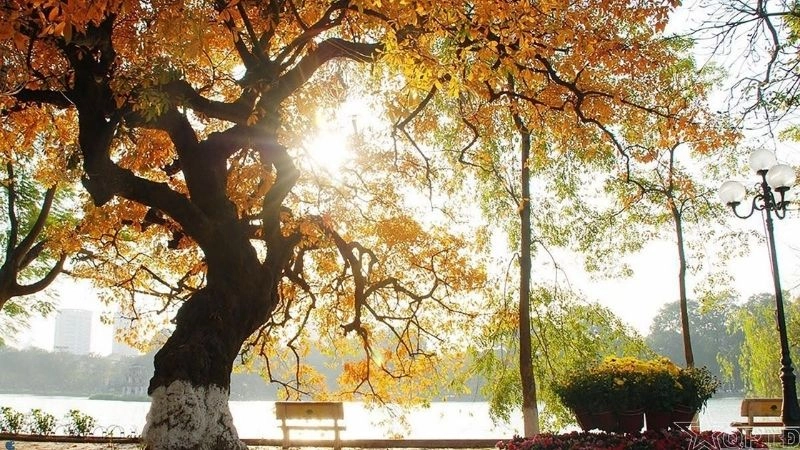 Câu đố về mùa thu nhẹ nhàng gợi nhớ ký ức xưa