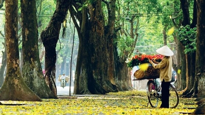 Câu đố về mùa thu mang sắc vàng dịu dàng ấm áp