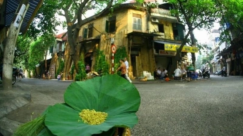 Câu đố về mùa thu đầy sáng tạo và thú vị