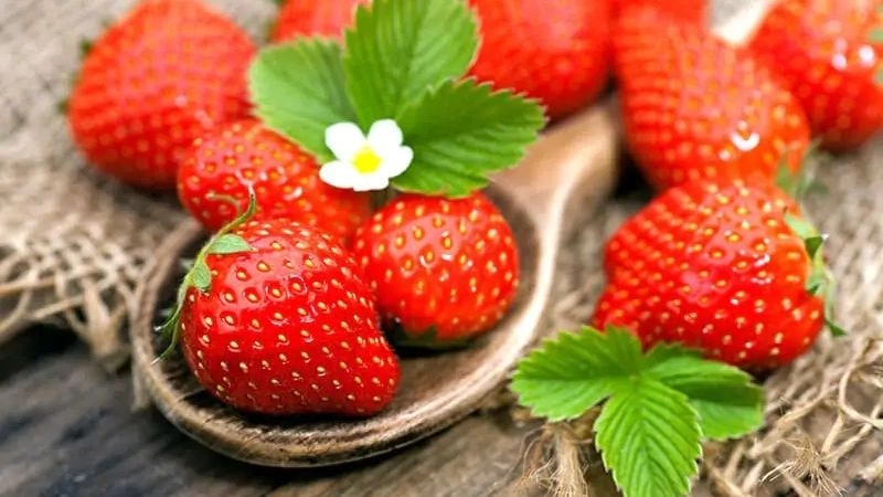 Câu đố về quả dâu tây tạo phút giây thư giãn