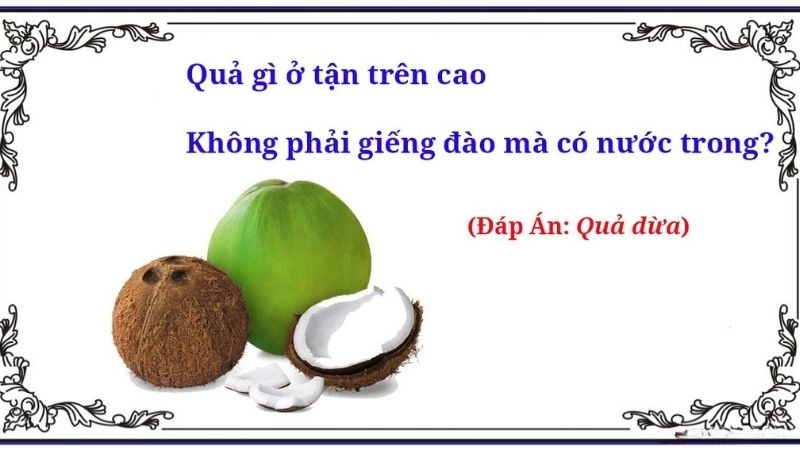 Câu đố về quả dừa mang đậm chất dân gian