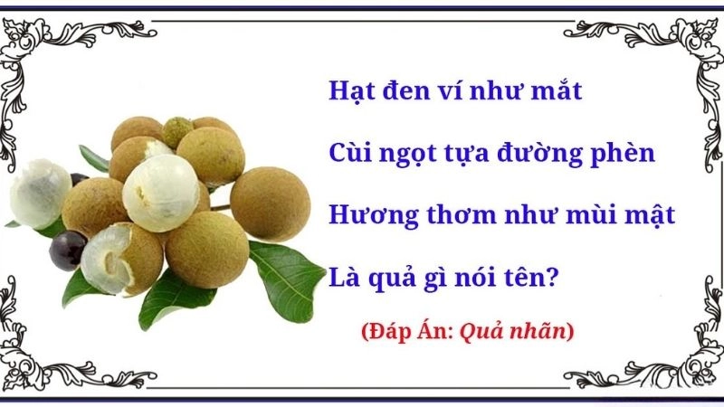 Câu đố về quả nhãn tăng cường trí tò mò