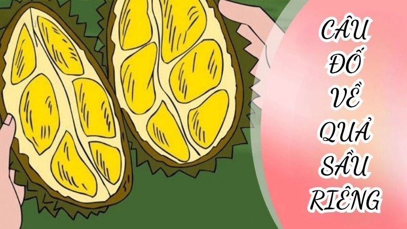Câu đố về quả sầu riêng hài hước giúp bé học thật vui
