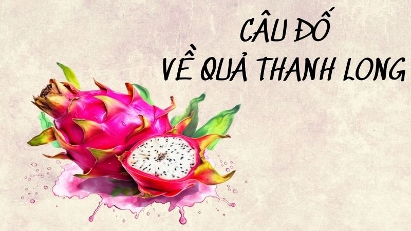 Câu đố quả thanh long vui nhộn khơi gợi trí tưởng tượng bé
