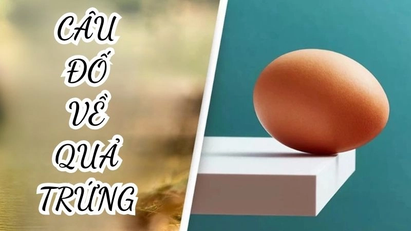 Giải mã câu đố về quả trứng khiến dân tình hoang mang