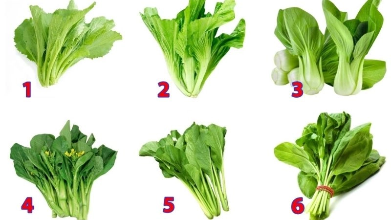 Câu đố về rau cải giúp phát triển tư duy