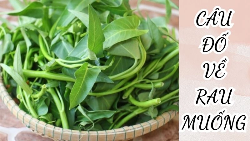 Bất ngờ với câu đố về rau muống đầy dí dỏm và sâu sắc