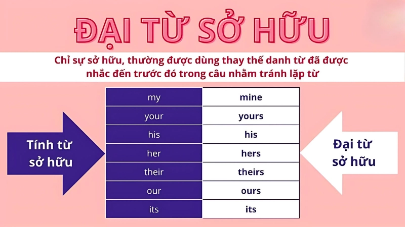 Đại từ trong tiếng Anh là gì và cách phân loại