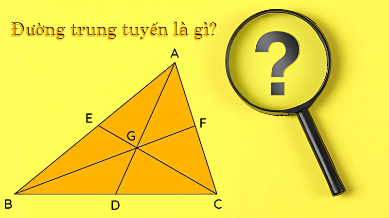 Đường trung tuyến là gì và cách xác định chính xác