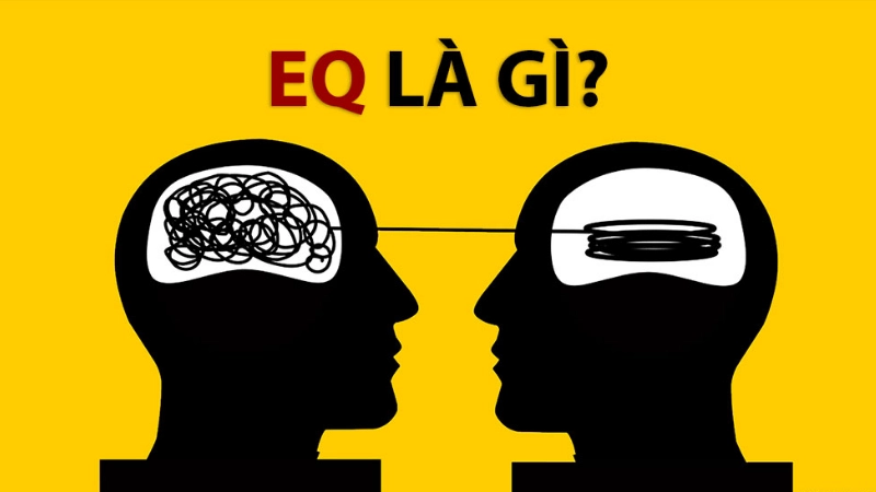 EQ là gì? Khám phá trí tuệ cảm xúc và sức mạnh tiềm ẩn