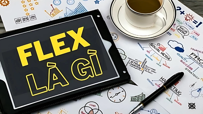 Cách sử dụng flex, flexing và flexible đúng trong từng hoàn cảnh