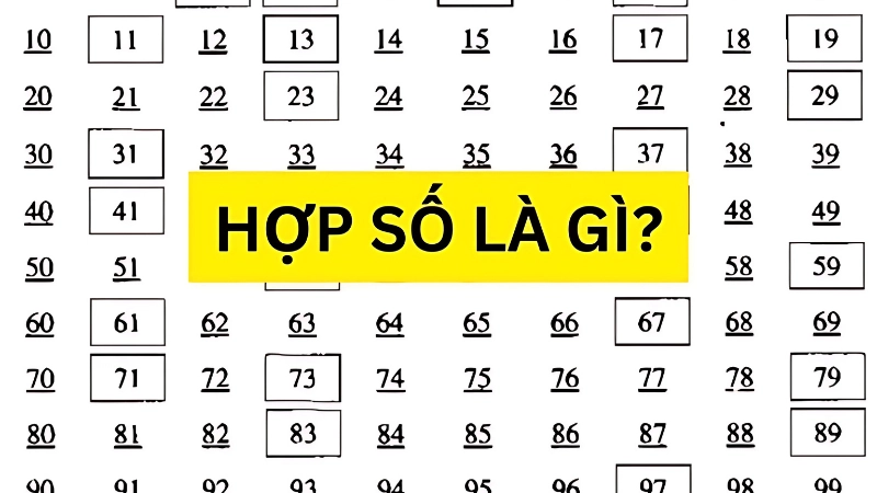 Hợp số là gì? Những điều bạn cần biết để học tốt Toán