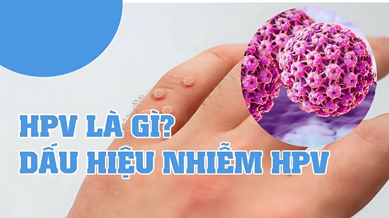 HPV là gì? Tác hại của virus HPV với nam và nữ giới
