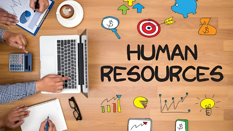 Tìm hiểu HR là gì và vì sao doanh nghiệp không thể thiếu