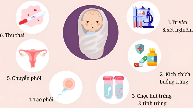 IVF là phương pháp gì trong hỗ trợ sinh sản