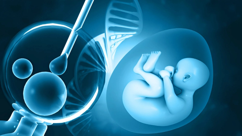Cấy IVF là gì và khi nào nên thực hiện