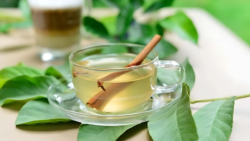 Uống nước lá ổi có tác dụng gì?