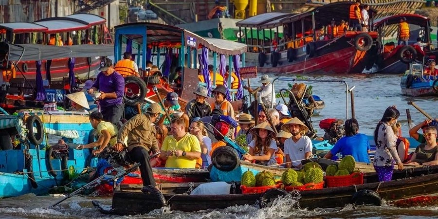 Quá trình hình thành và phát triển