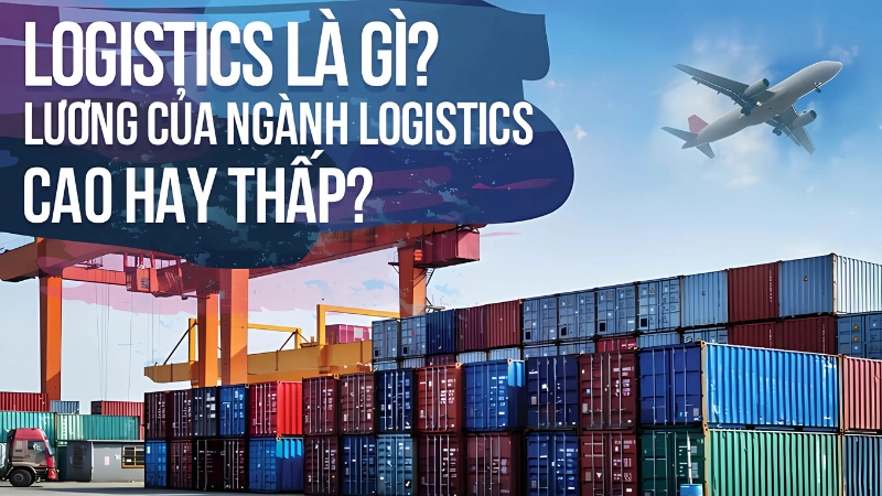 Logistics gồm điều phối, kho, xuất nhập khẩu, giao nhận, IT và phân tích