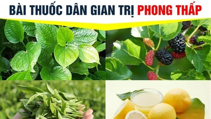 Những bài thuốc dân gian trị phong thấp ít ai còn nhớ