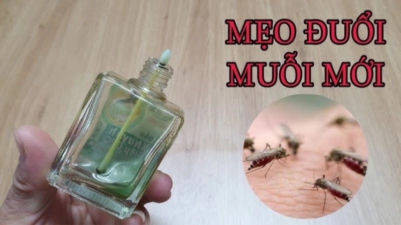 Hé lộ mẹo dân gian đuổi muỗi khiến côn trùng sợ xanh mặt