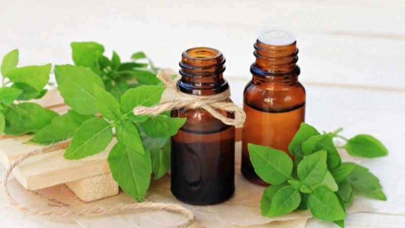 Mẹo dân gian đuổi muỗi đem lại không gian sống thoải mái