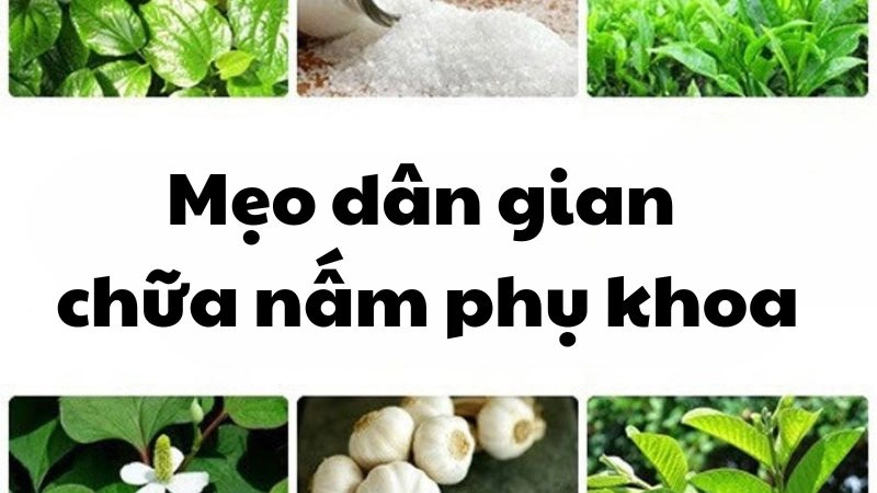 Cách chữa nấm phụ khoa bằng dân gian hiệu quả không ngờ tới