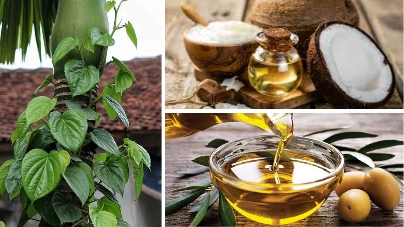 Mẹo dân gian chữa sài cho trẻ sơ sinh hiệu quả