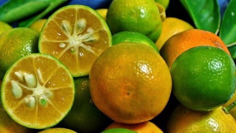 Chữa ho cho trẻ sơ sinh đơn bằng mẹo dân gian
