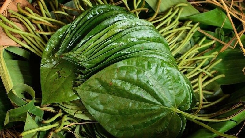 Dân gian mách mẹo trị sôi bụng cho trẻ hiệu quả