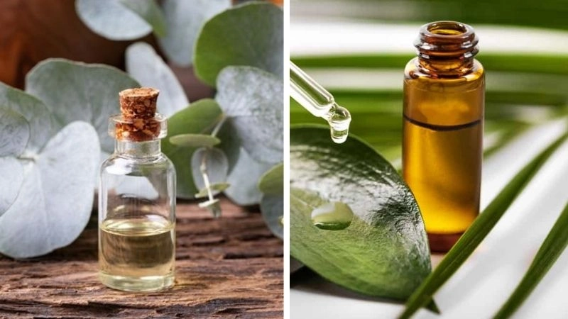 Mẹo dân gian trị khụt khịt giúp trẻ sơ sinh khỏe mạnh