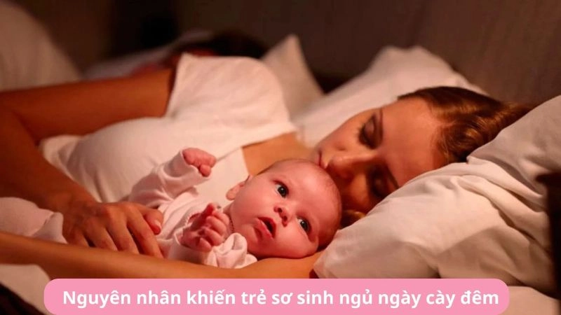 10. Trẻ ngủ sai giờ do đâu cha mẹ cần lưu ý ngay