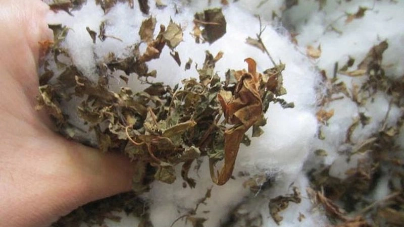 Mẹo dân gian giúp trẻ hết thức đêm ngủ sâu giấc