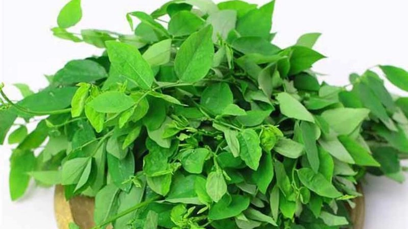 Trị đái dầm cho trẻ đơn giản bằng mẹo dân gian